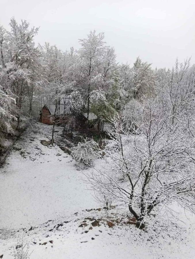 Plitvice Oaza Mira Villa Smoljanac Eksteriør bilde