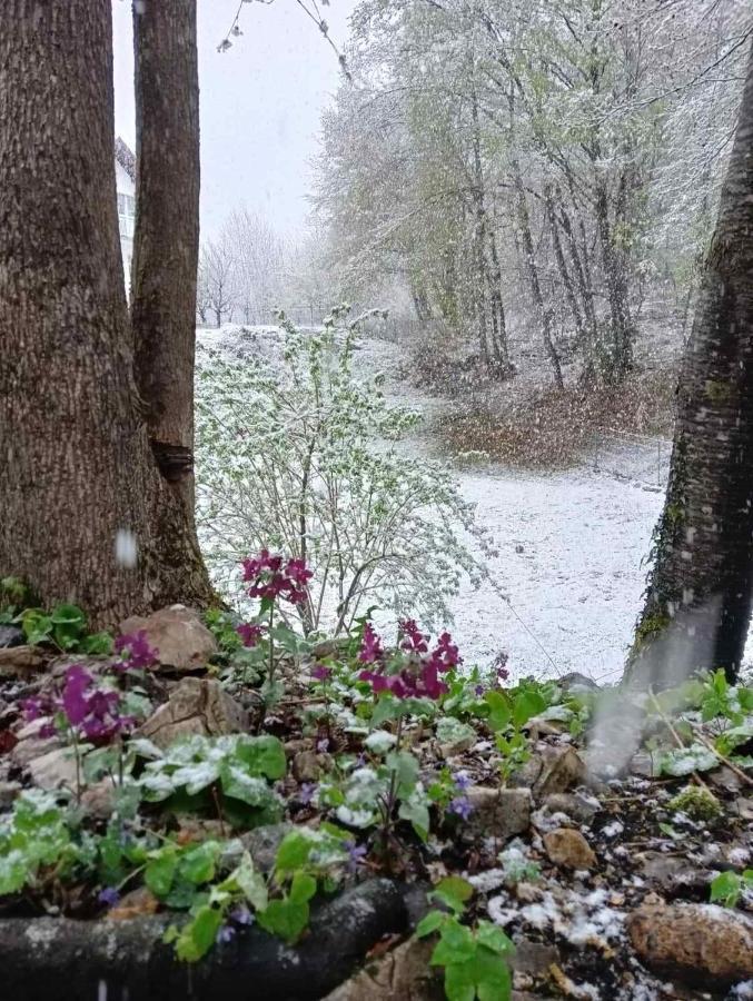 Plitvice Oaza Mira Villa Smoljanac Eksteriør bilde