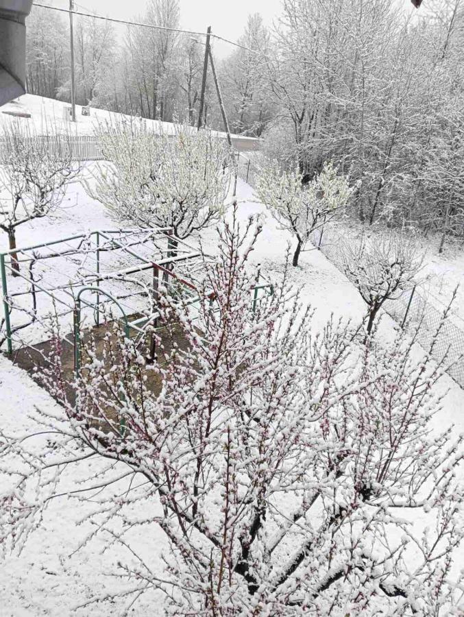 Plitvice Oaza Mira Villa Smoljanac Eksteriør bilde